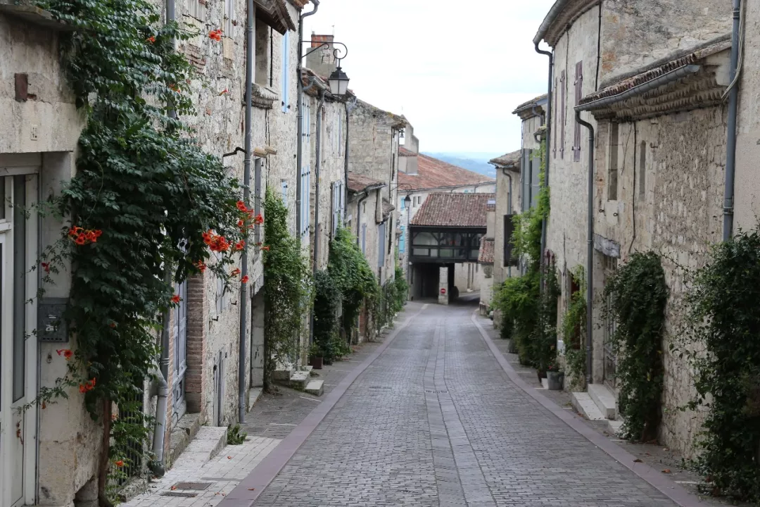 借鉴!8个发达国家乡村振兴的成功经验