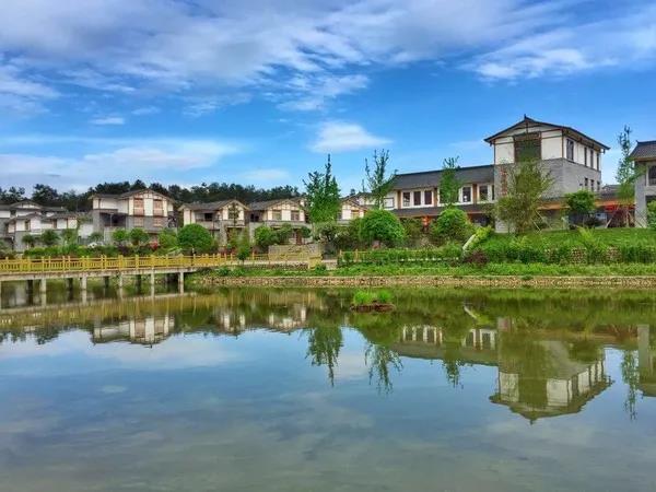 近年来,一些地方(如浙江鲁家村,四川明月村与天府新区新兴街道等)在
