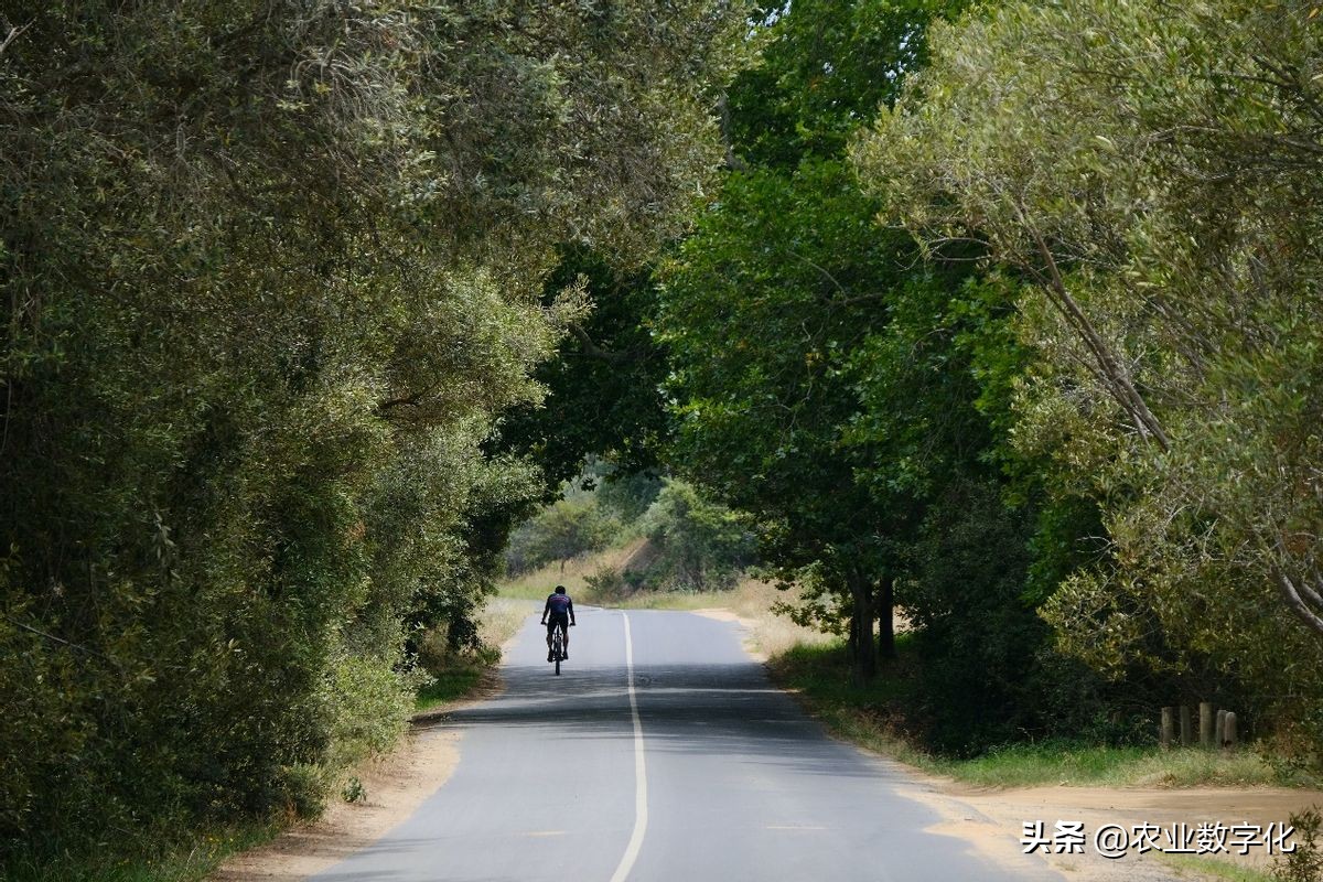乡村振兴项目的评价指标体系（内附指标）：评价乡村振兴是否成功