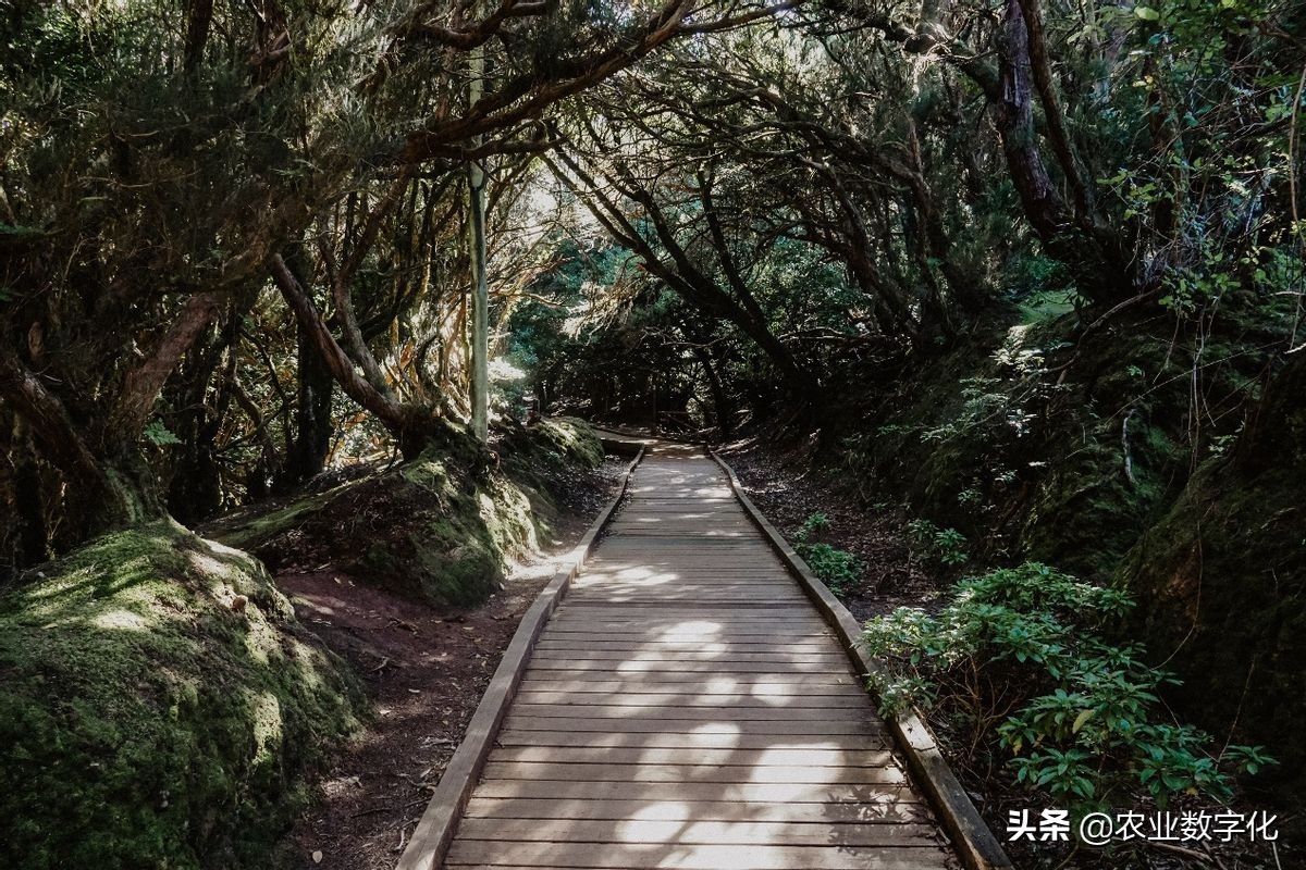 乡村振兴项目的评价指标体系（内附指标）：评价乡村振兴是否成功