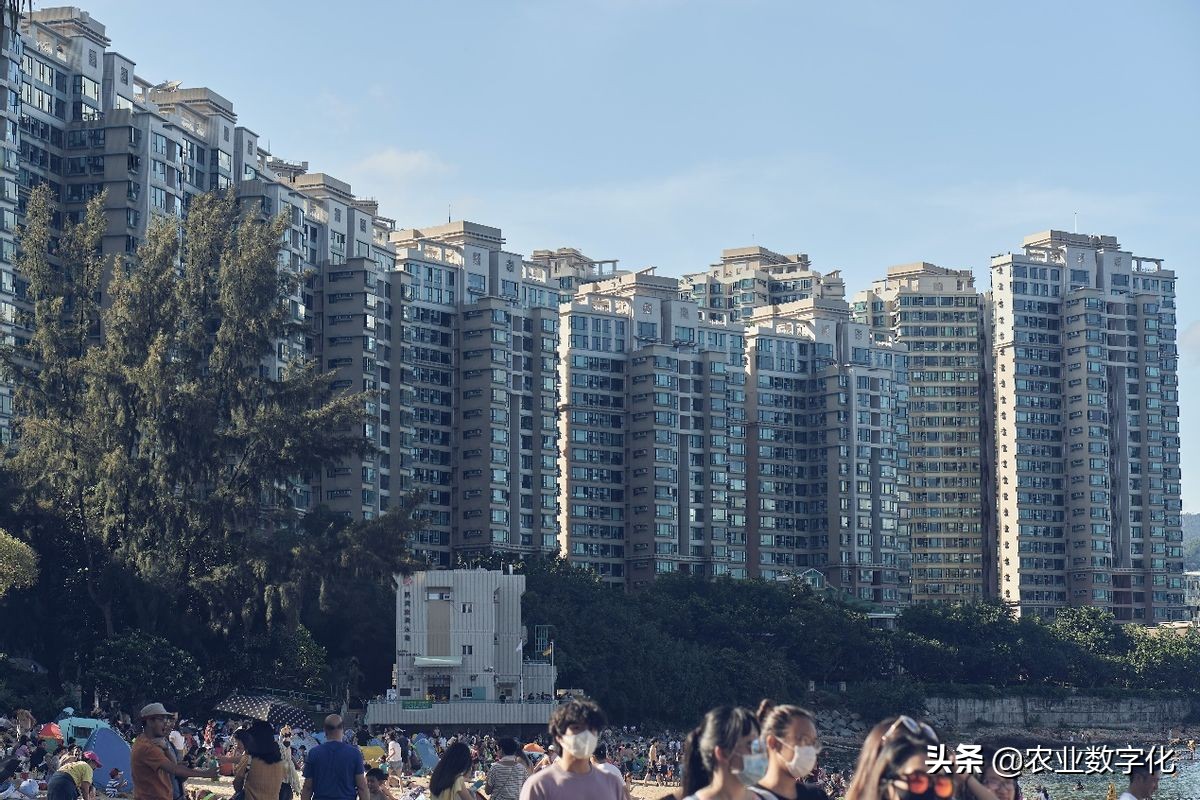 乡村振兴项目的评价指标体系（内附指标）：评价乡村振兴是否成功