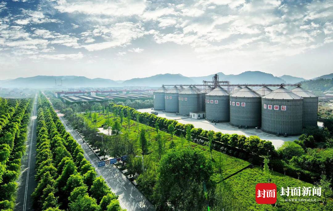 射洪市委书记眼里的“8个有”：不只诗和酒 射洪等你“来了又来”